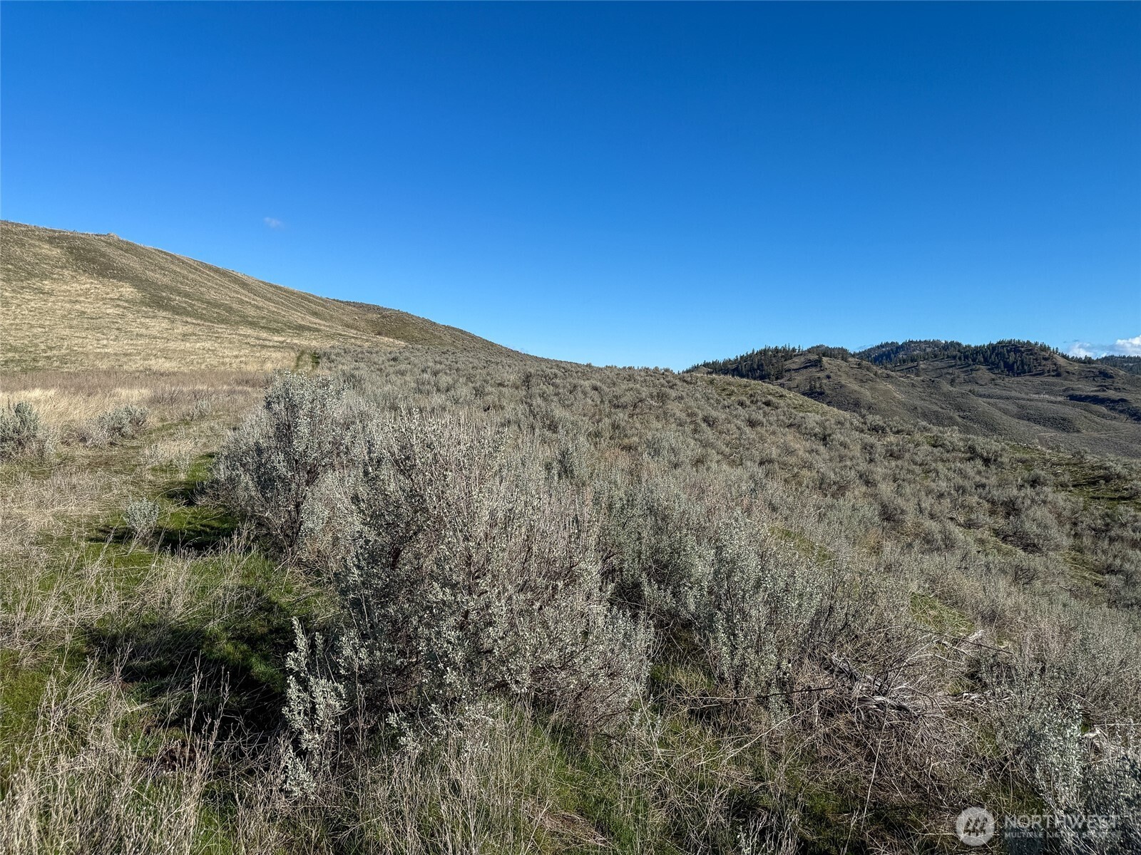 -tbd Tbd Road Oroville, WA 98844 - Photo 21 of 25