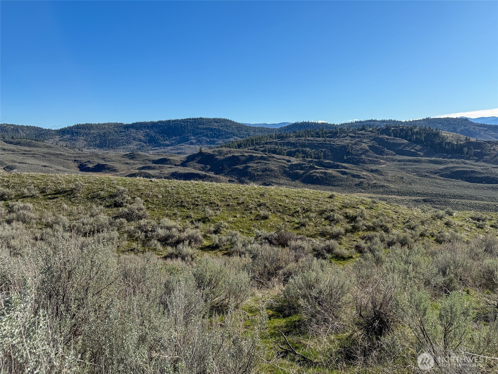 -tbd Tbd Road Oroville, WA 98844 - Photo 22 of 25