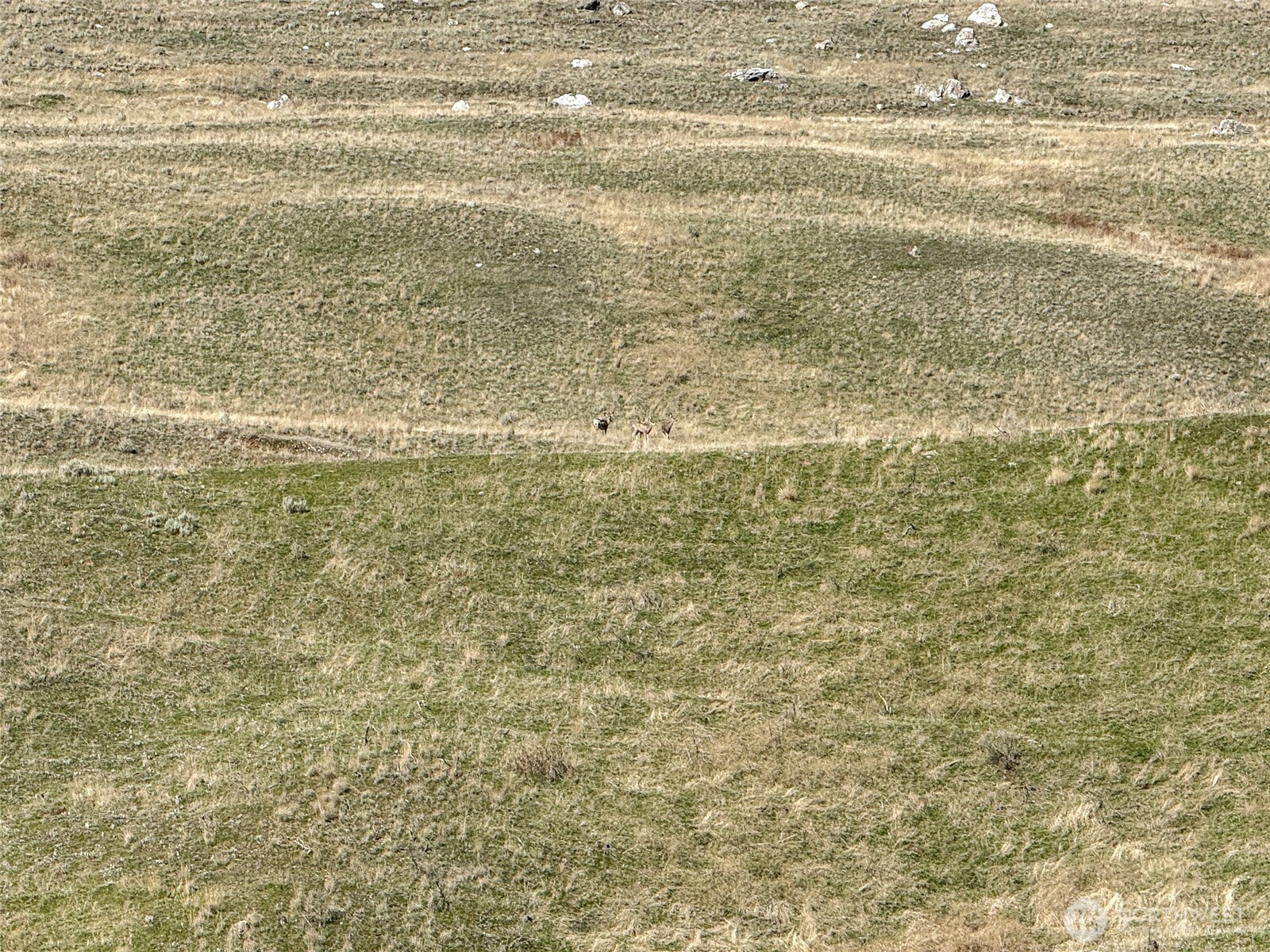 -tbd Tbd Road Oroville, WA 98844 - Photo 23 of 25