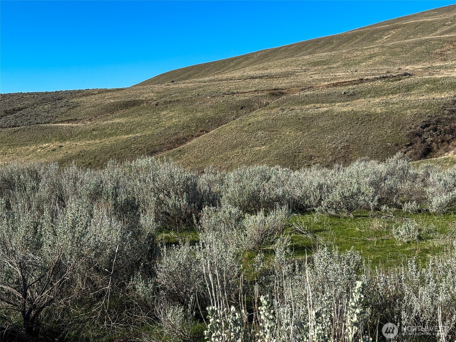 -tbd Tbd Road Oroville, WA 98844 - Photo 7 of 25