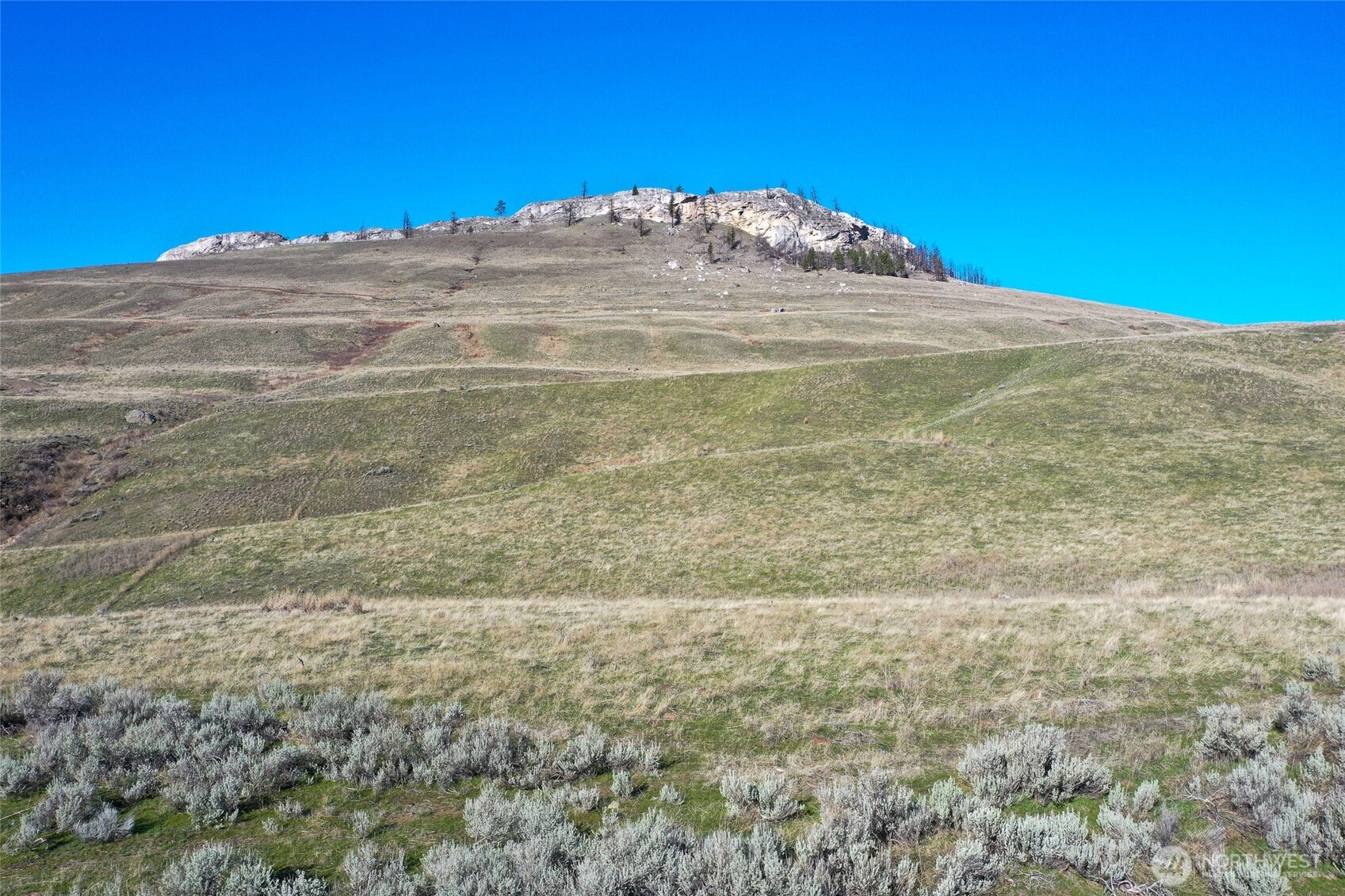 -tbd Tbd Road Oroville, WA 98844 - Photo 8 of 25