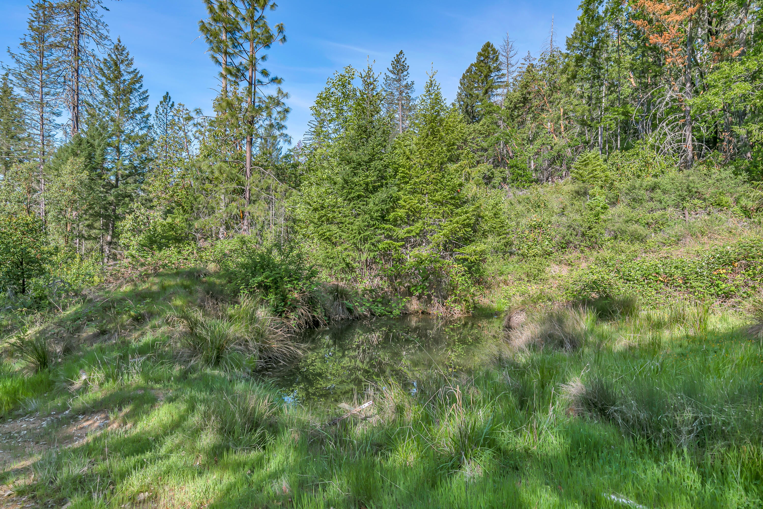 3540 Galice Road Merlin, OR 97532 - Photo 37 of 47 Property
