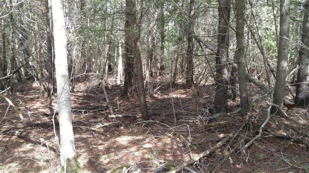 Tbd Clark Road Plymouth, ME 04969 - Photo 5 of 8 Photo