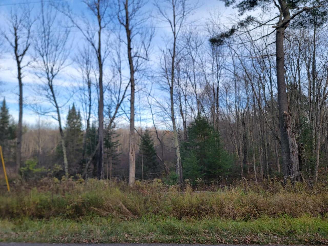 On Lake Winter Road, Unit 1 57AC Winter, WI 54896 - Photo 2 of 5 Gallery Image 2