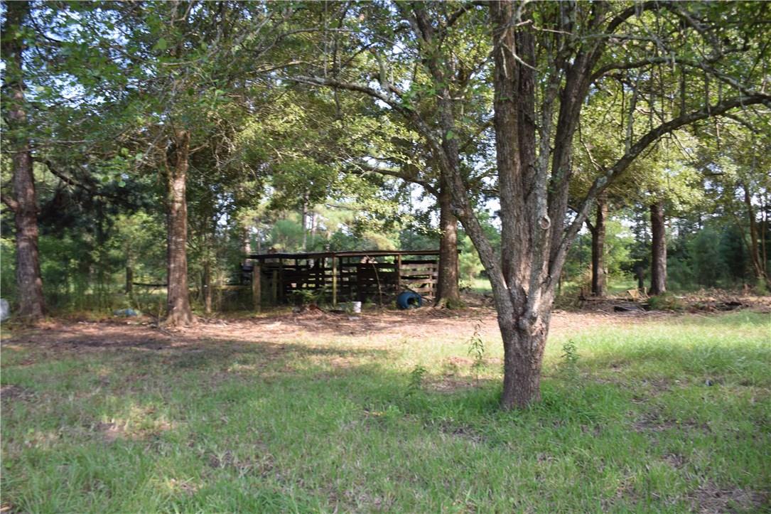 Tbd Clark Road Dequincy, LA 70633 - Photo 4 of 9 Gallery Image 4