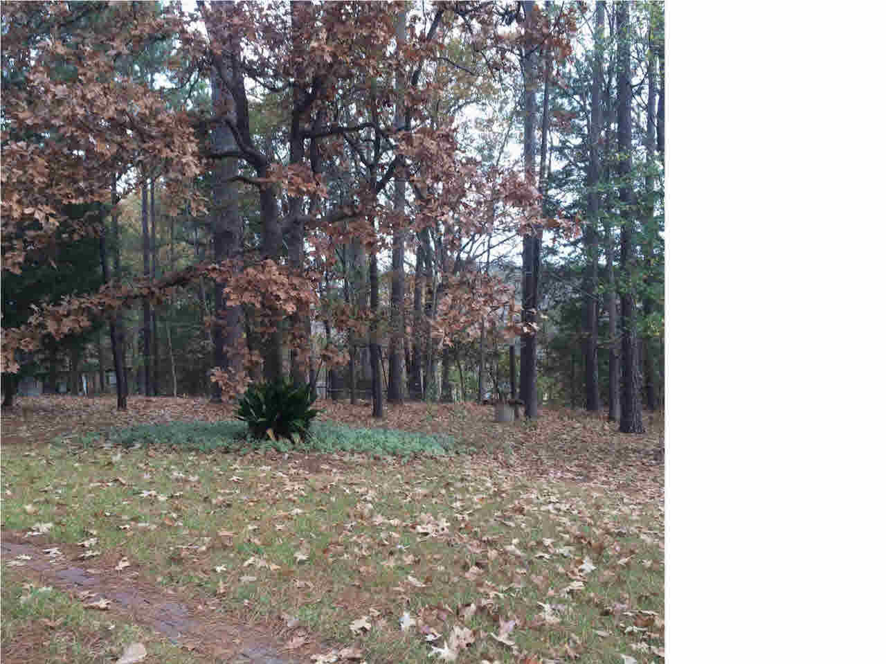 716 Green Forest Road Ridgeland, MS 39157 - Photo 6 of 37 Photo 6