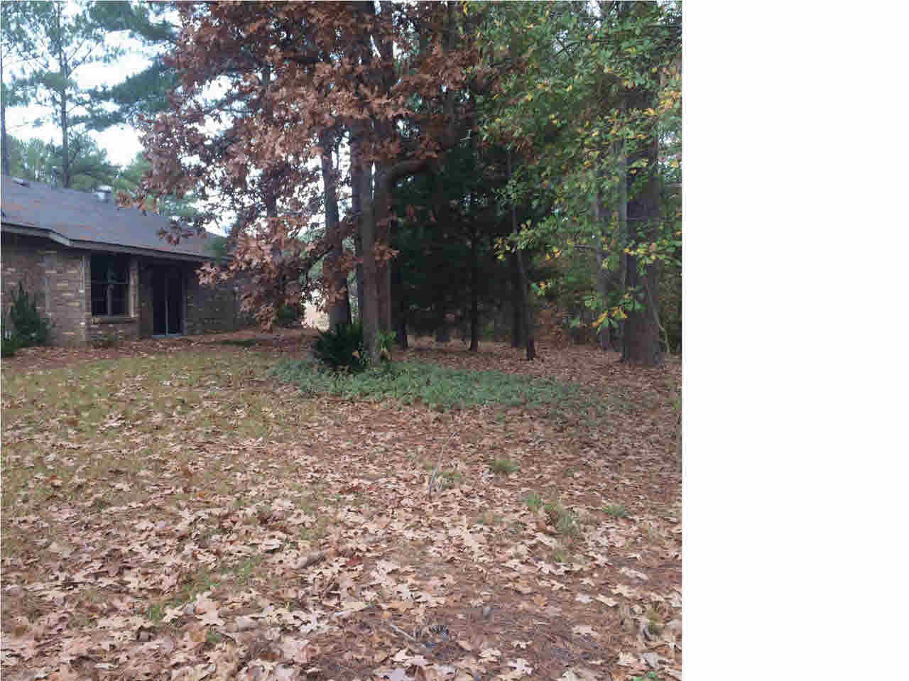 716 Green Forest Road Ridgeland, MS 39157 - Photo 9 of 37 Photo 9