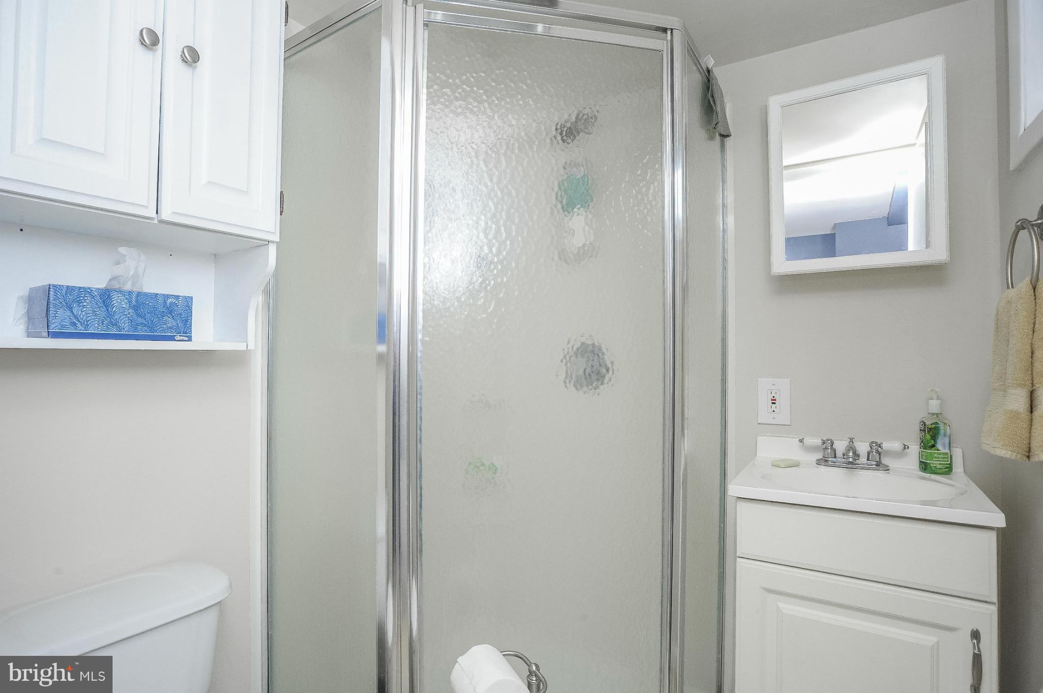8666 Rock Oak Road Baltimore, MD 21234 - Photo 22 of 30 Lower level full Bath