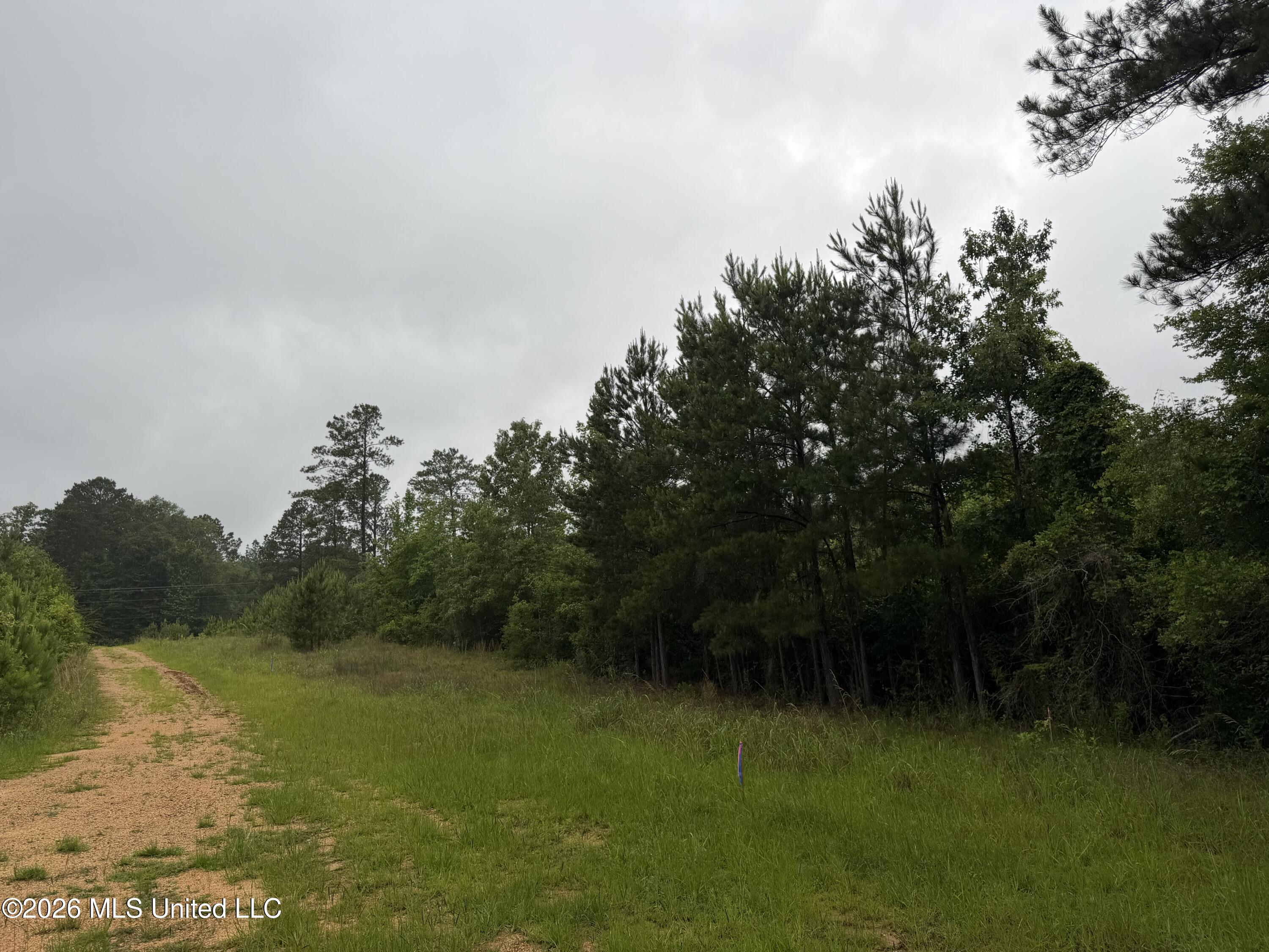 Shell Oil Rd Summit Ruth, MS 39662 - Photo 14 of 15 IMG_7293
