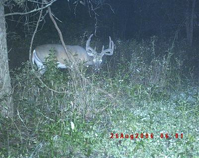 5 Timber Creek Road Lawrenceburg, KY 40342 - Photo 16 of 22 Photo 17