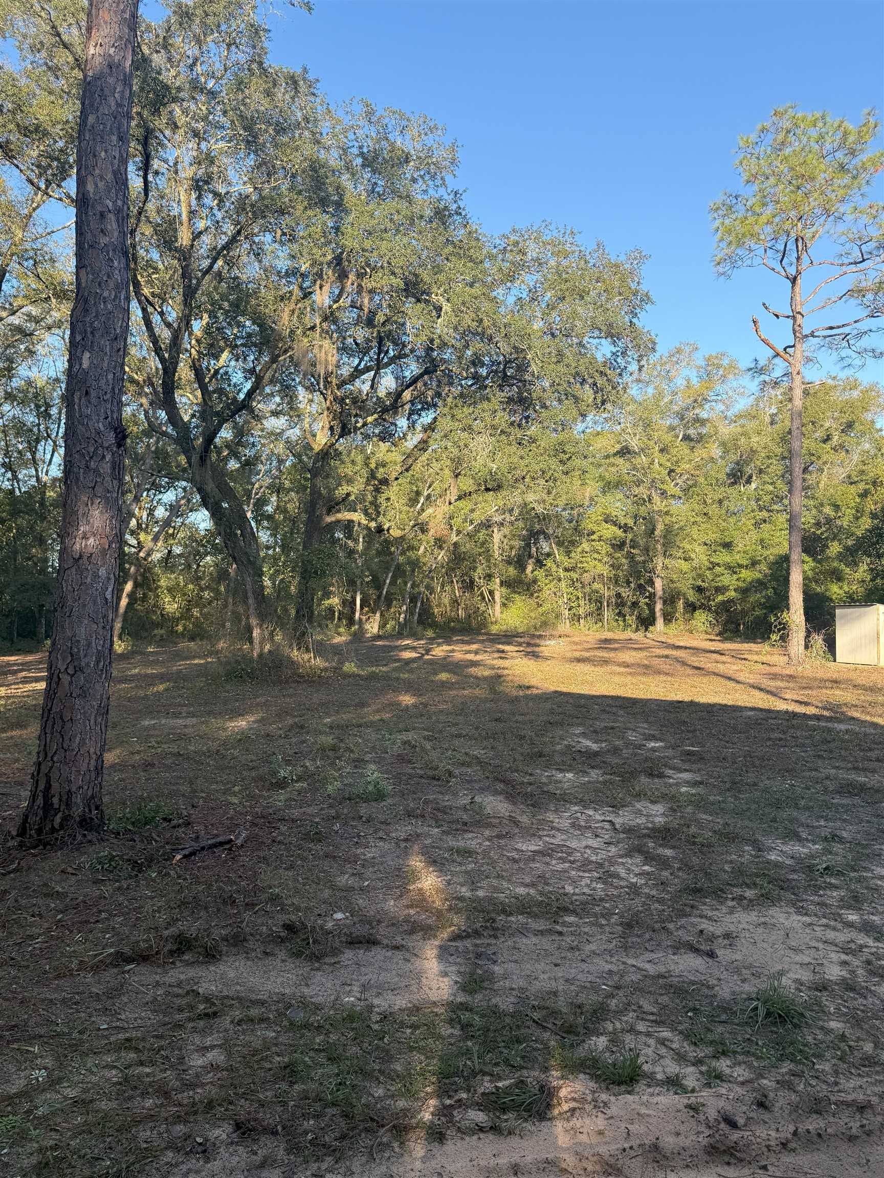 13141 White Springs Road Bristol, FL 32321 - Photo 8 of 9