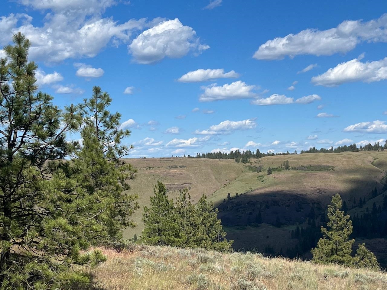 31805 Ruffed Grouse Drive Davenport, WA 99122 - Photo 3 of 23