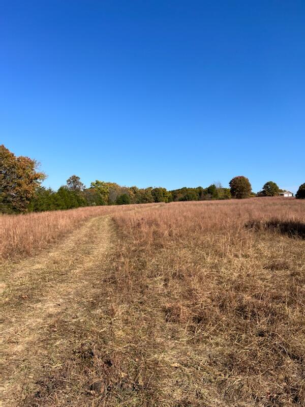 0 County Rd K K-404 Ava, MO 65608 - Photo 1 of 1 IMG_5103