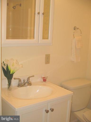 3841 Brownhill Road Randallstown, MD 21133 - Photo 10 of 12 Bath #2