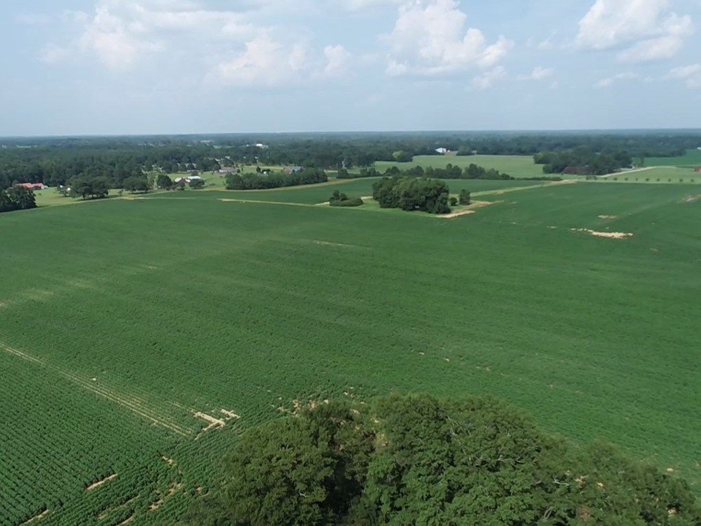 132.3-ac Green Road Dothan, AL 36303 - Photo 21 of 63