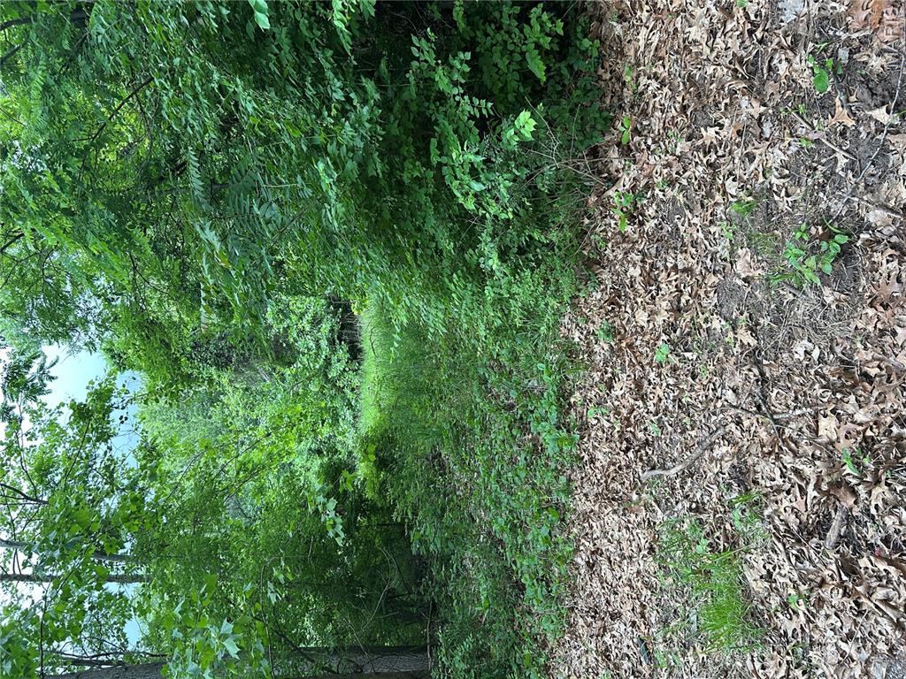 100 Grand Avenue Alton, IL 62002 - Photo 11 of 13