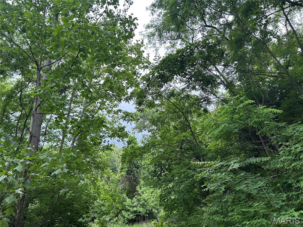 100 Grand Avenue Alton, IL 62002 - Photo 12 of 13