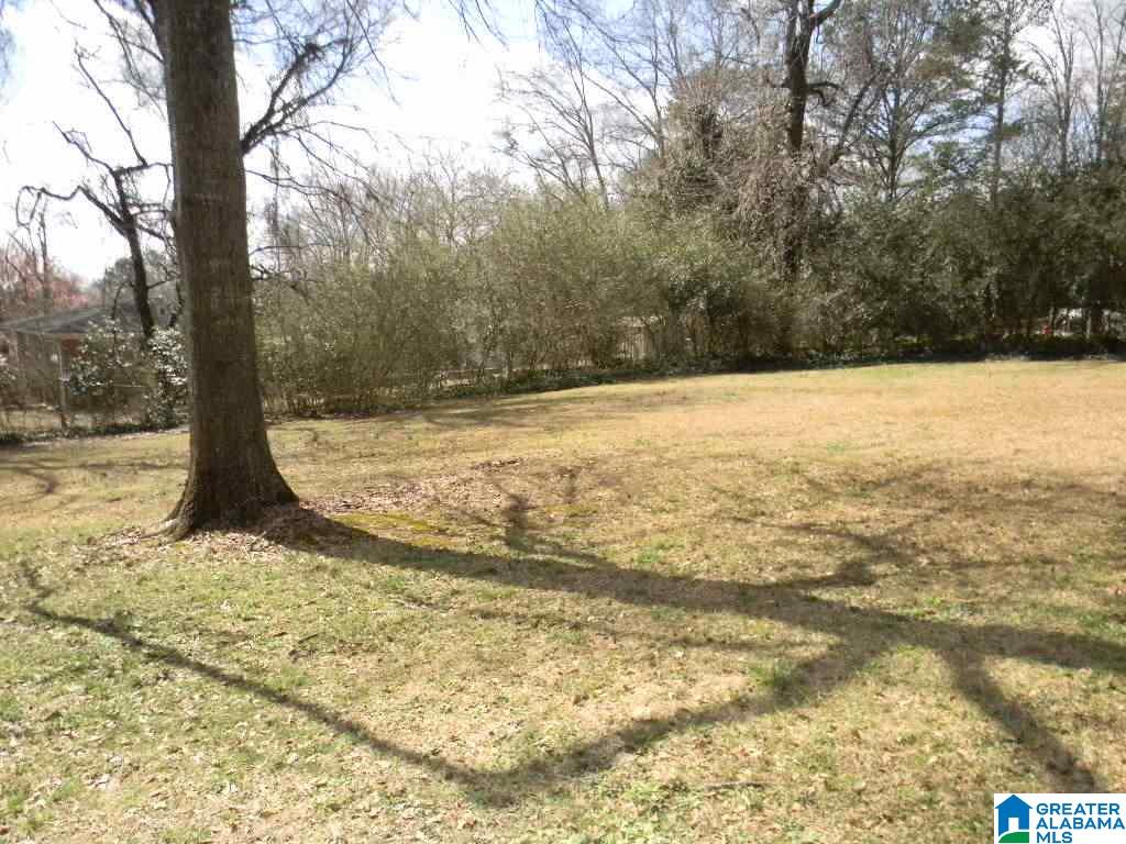 207 Snake Hill Road Trussville, AL 35173 - Photo 27 of 27
