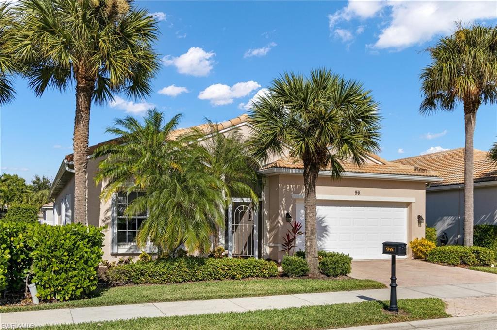 a palm tree sitting in front of a house with a yard