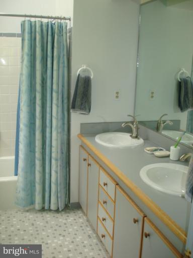 49588 Will's Road Dameron, MD 20628 - Photo 16 of 30 a bathroom with a sink a mirror and shower curtain