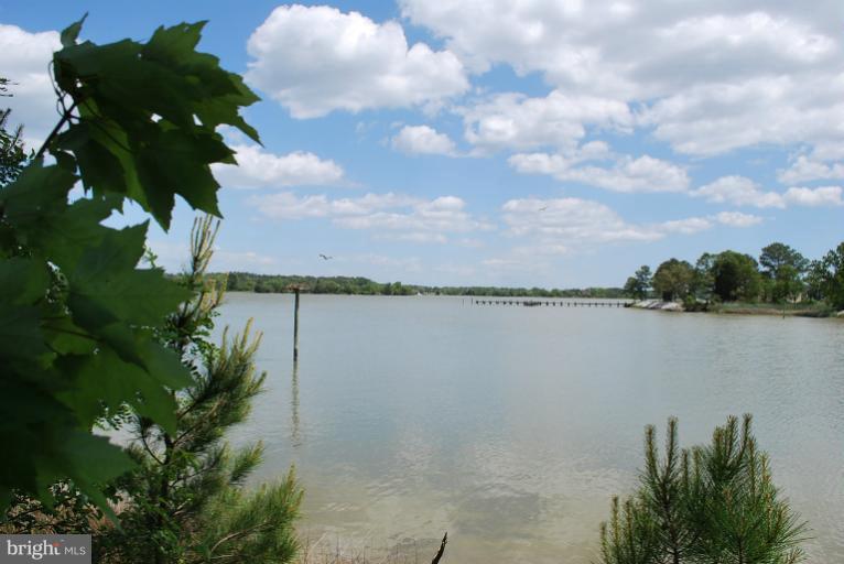 49588 Will's Road Dameron, MD 20628 - Photo 19 of 30 a view of a lake