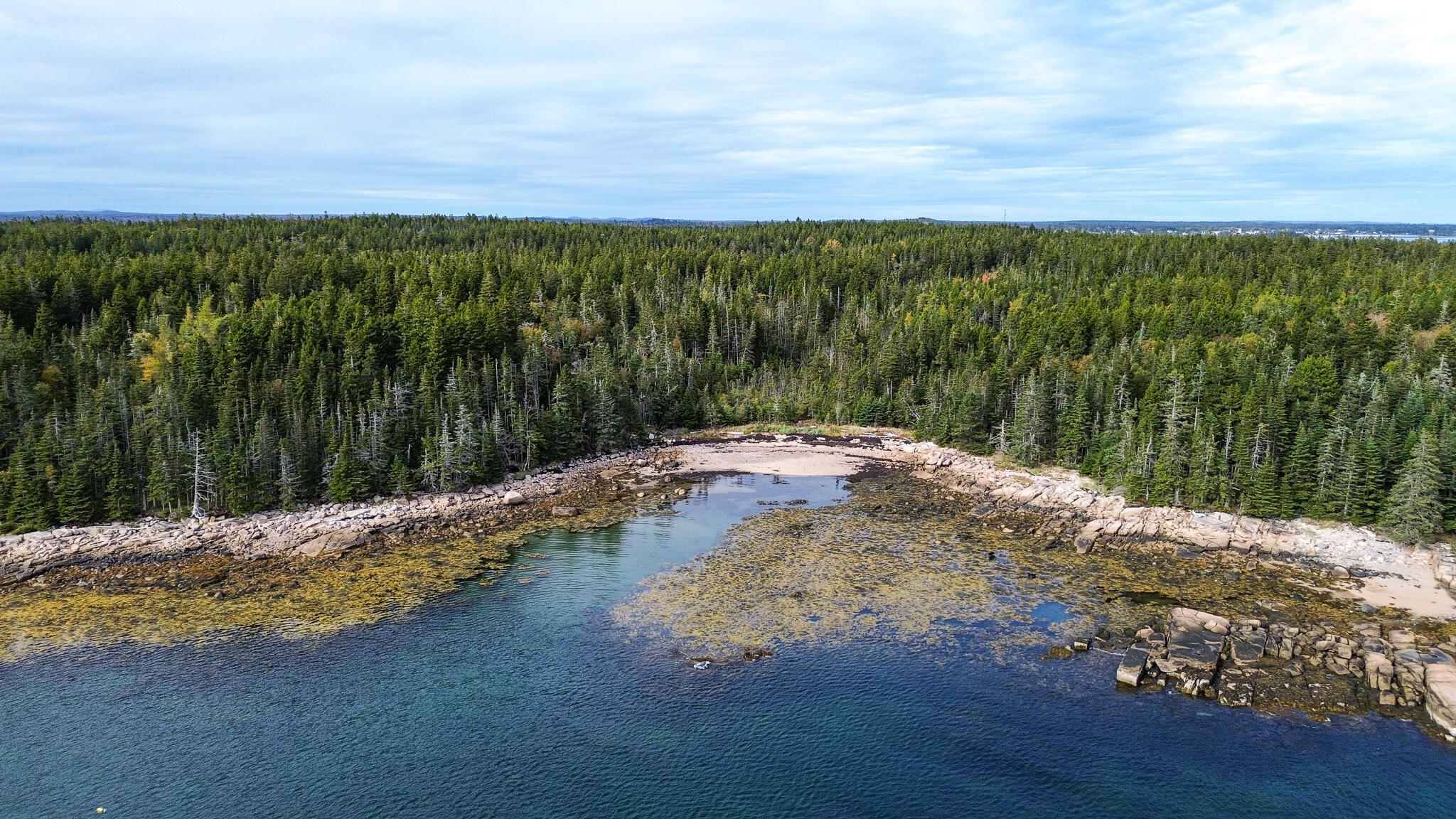 Lot 2 Seaduck Road Beals, ME 04611 - Photo 7 of 28
