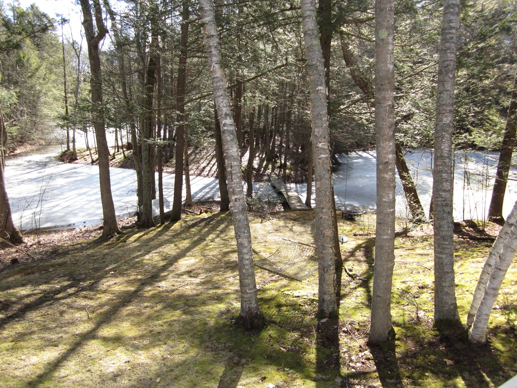 27 Janes Road Boxford, MA 01921 - Photo 13 of 15 a view of yard