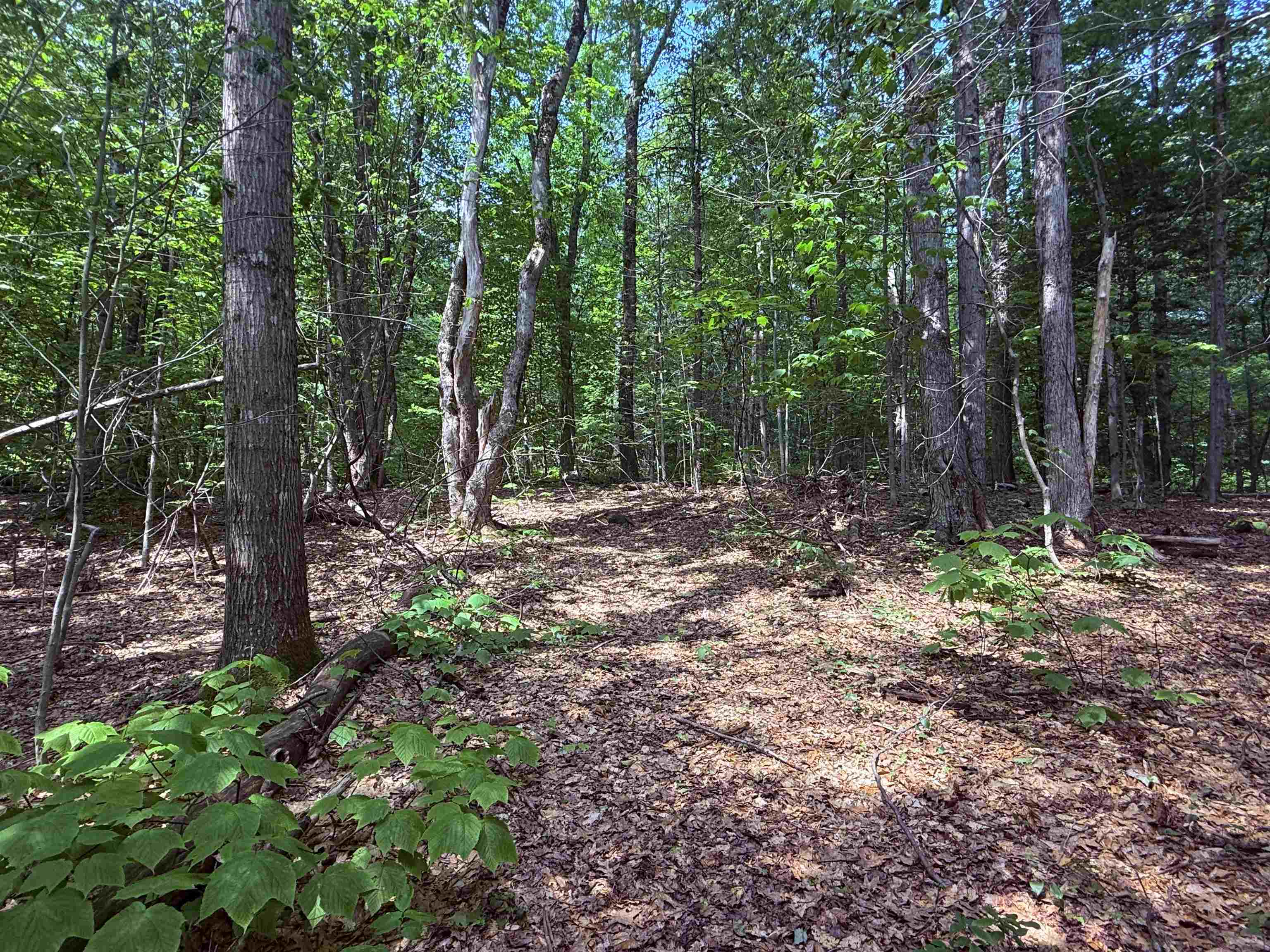 251 Phillips Hill Road Halifax, VT 05342 - Photo 6 of 30
