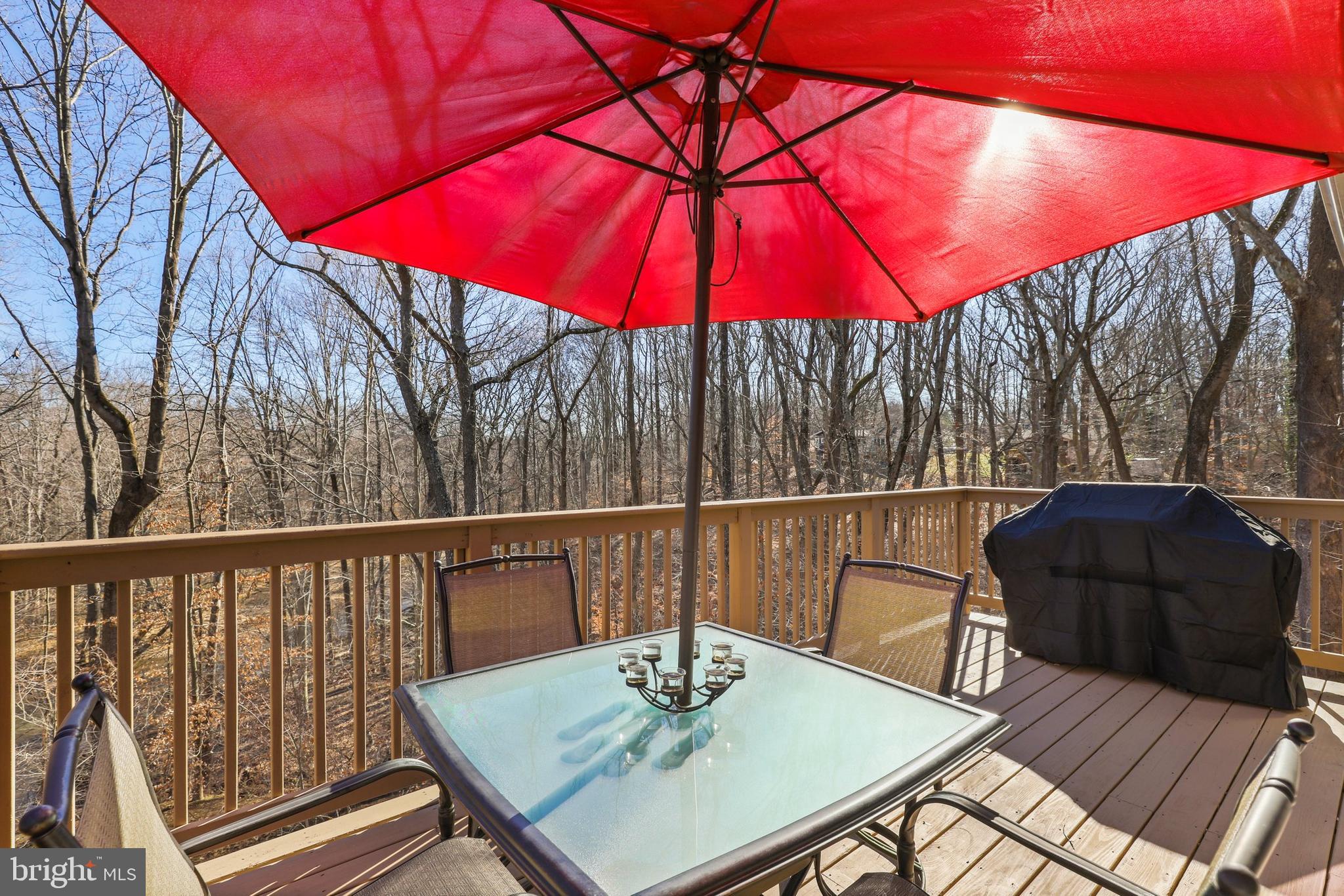 7701 Martel Place Springfield, VA 22152 - Photo 47 of 49 Gallery Image 47