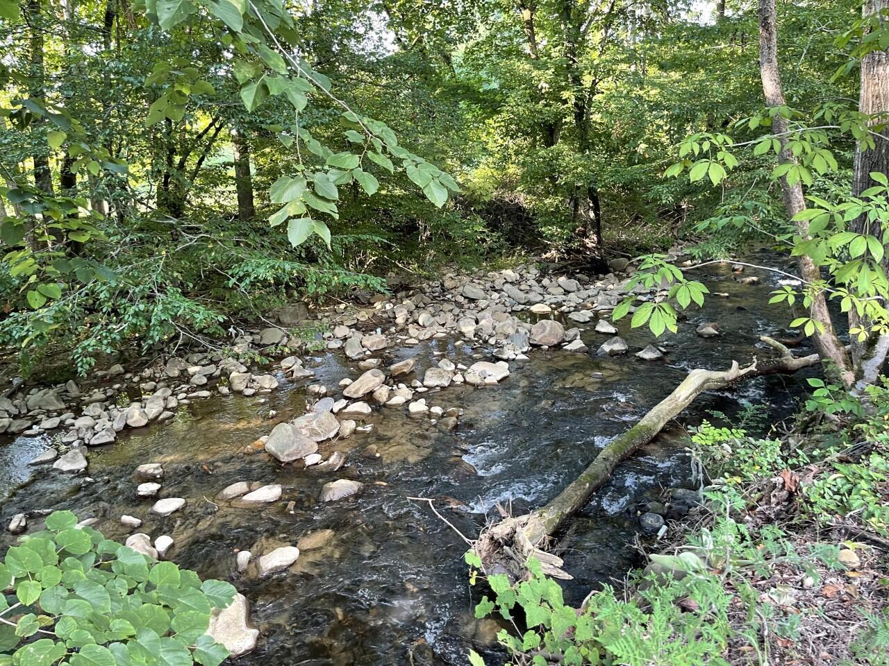 888 Blue Mill Road Del Rio, TN 37727 - Photo 2 of 26 stoke creek