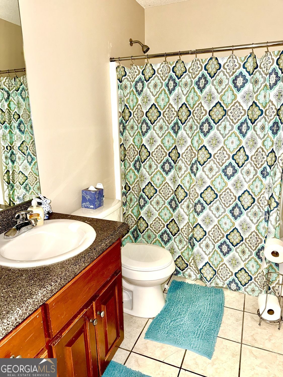 229 Lite-N-Tie Road Gray, GA 31032 - Photo 14 of 21 a bathroom with a sink a toilet a mirror and shower curtain