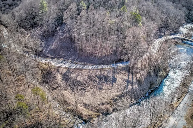 a view of a forest with trees in the background