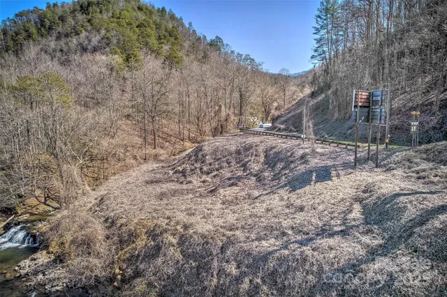 a view of a dry yard with trees