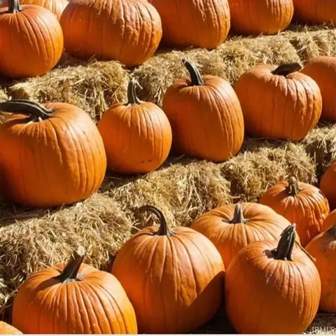 $3,150,000 | 625 North State 75, Flora, IN 46929