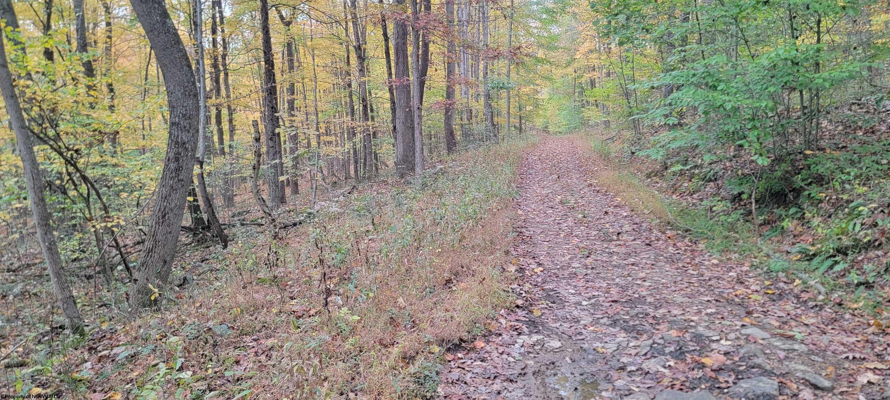 Tbd Pine Ridge Road Morgantown, WV 26508 - Photo 6 of 15 Gallery Image 6