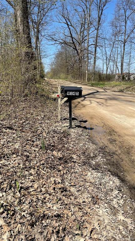 Vl West Coon Lake Road Gregory, MI 48137 - Photo 3 of 5 Gallery Image 3