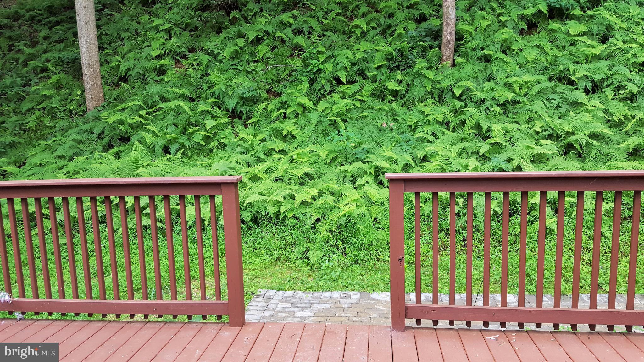 1111 Gorsuch Road Westminster, MD 21157 - Photo 28 of 30 Exterior (Rear)