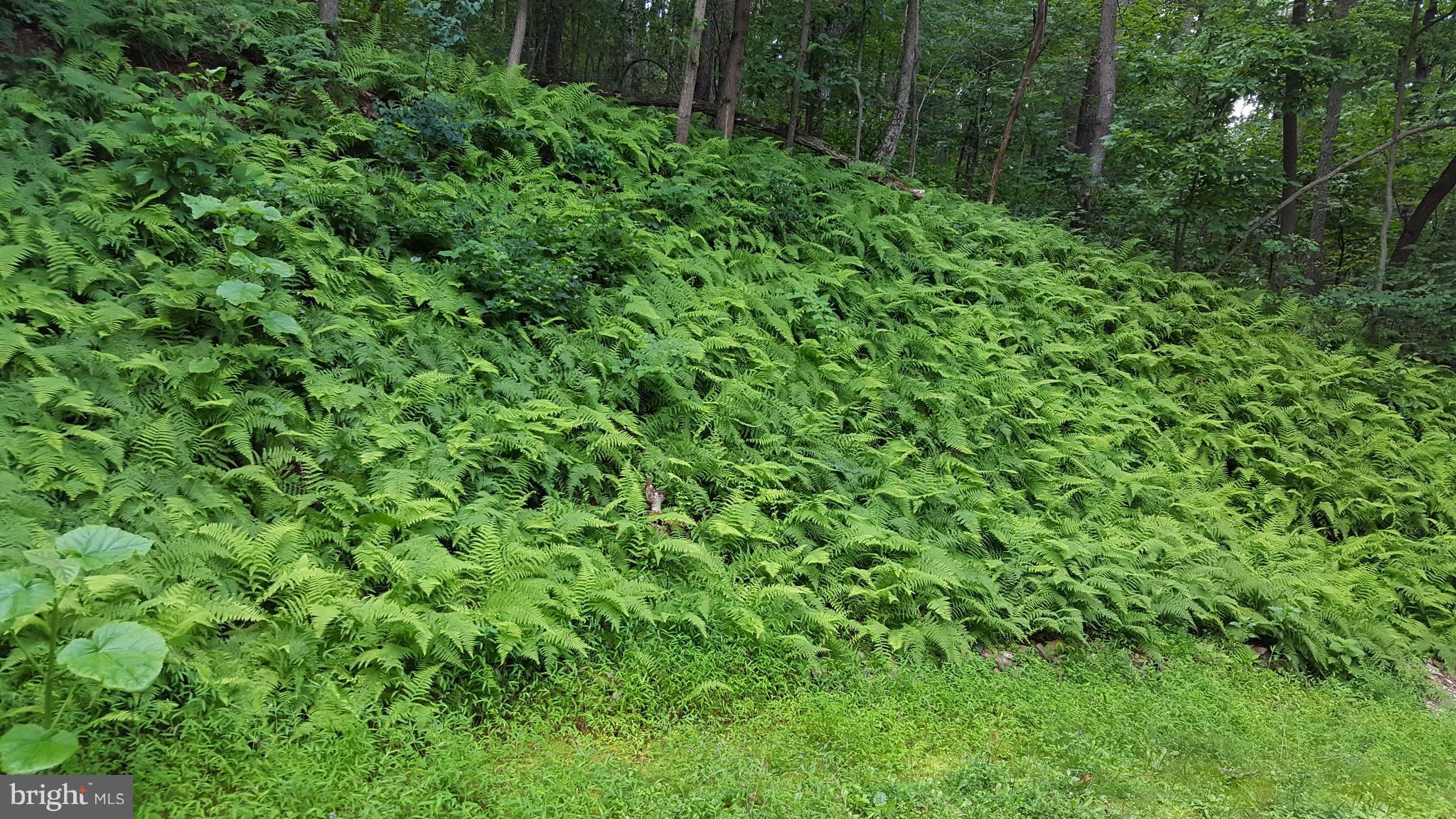 1111 Gorsuch Road Westminster, MD 21157 - Photo 30 of 30 View