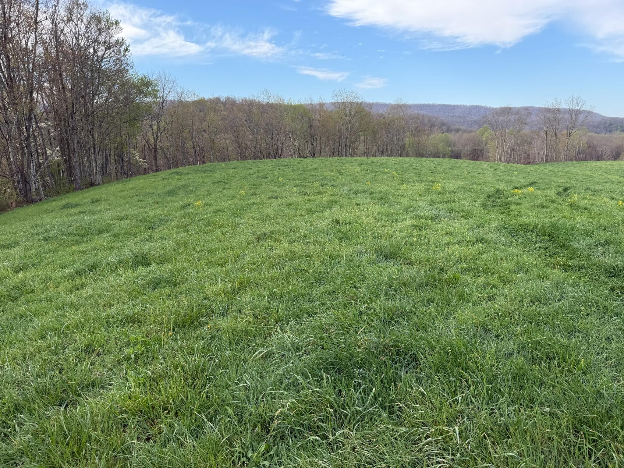 1999 Snake Run Road Alderson, WV 24910 - Photo 3 of 18 Property