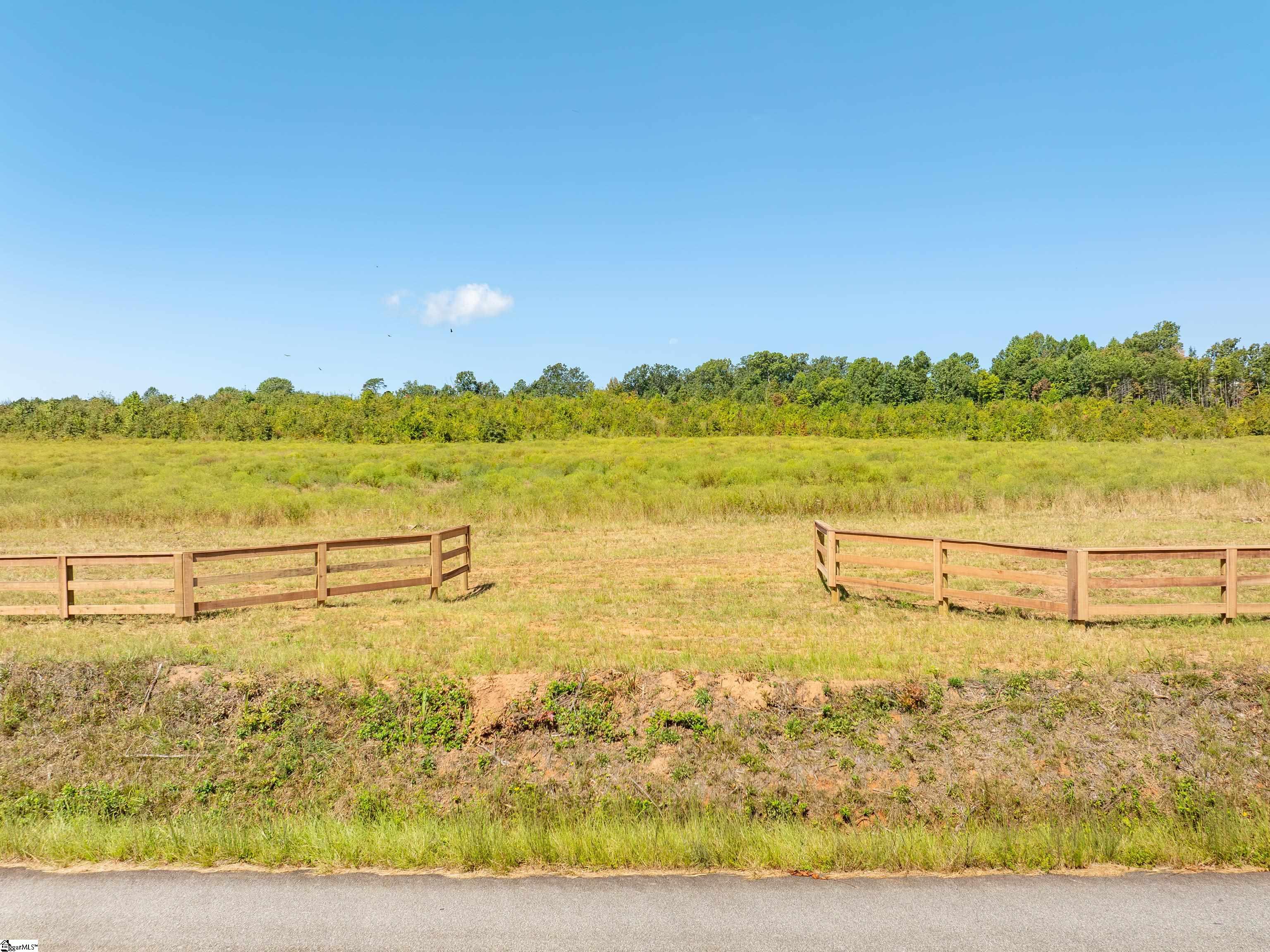 3 Hood Road, Unit LOT 3 Easley, SC 29640 - Photo 3 of 38