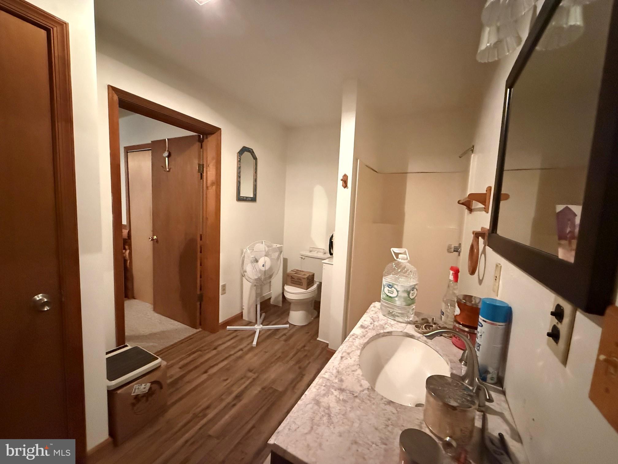 1492 Dice Warner Road Circleville, WV 26804 - Photo 25 of 36 Cozy bathroom with modern touches.