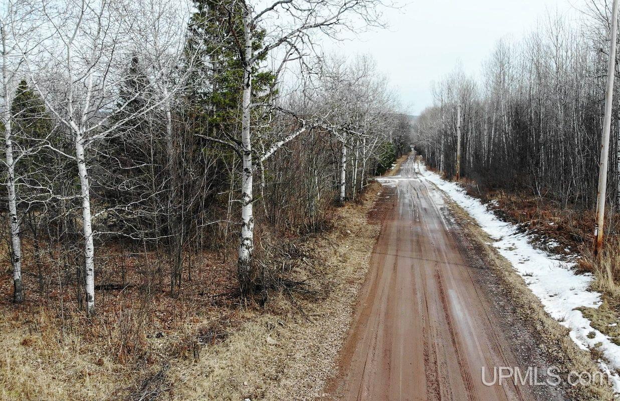 20 Grenlund Road Bruce Crossing, MI 49912 - Photo 3 of 18
