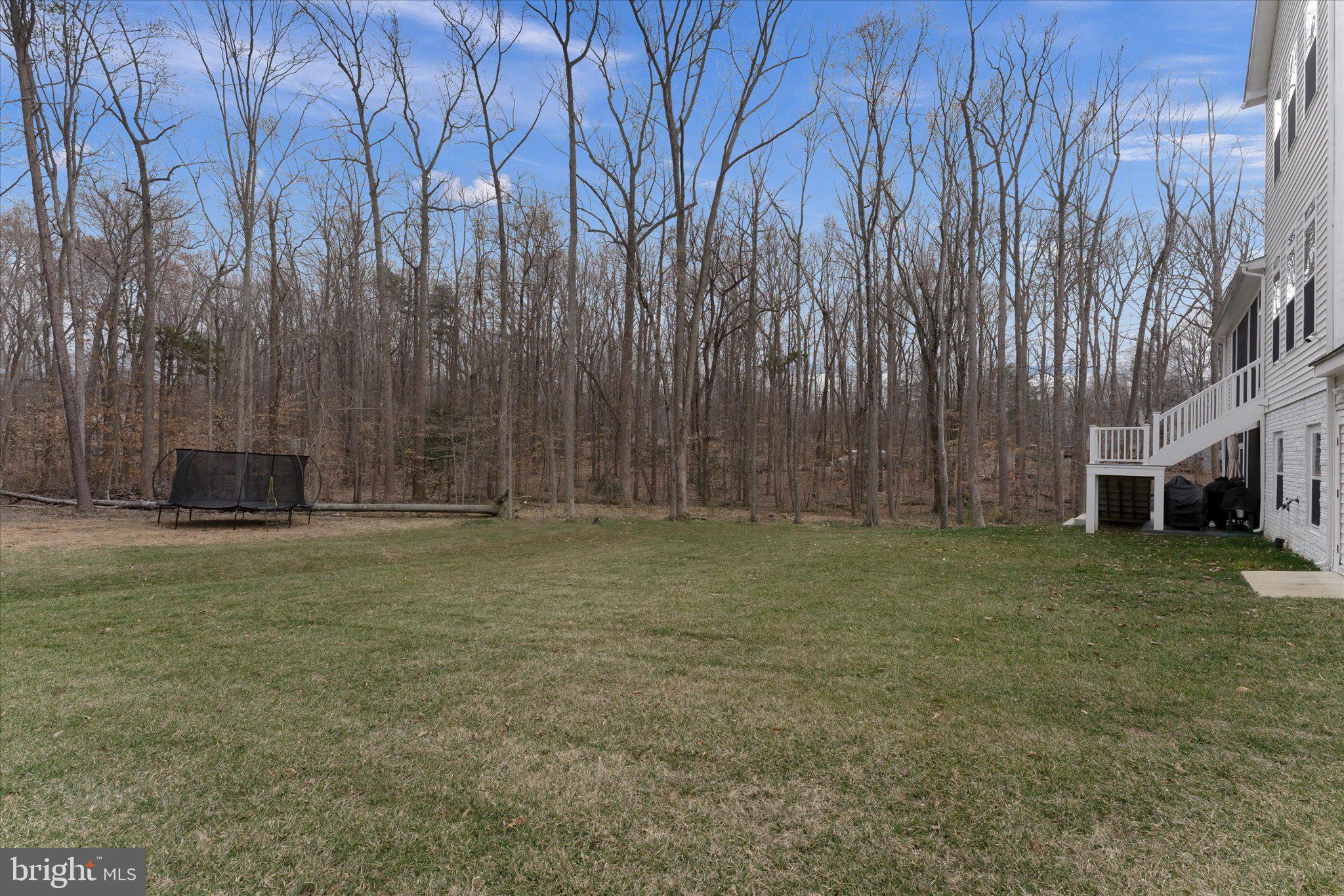 13882 Trinity Pond Lane Manassas, VA 20112 - Photo 68 of 69 a backyard of a house