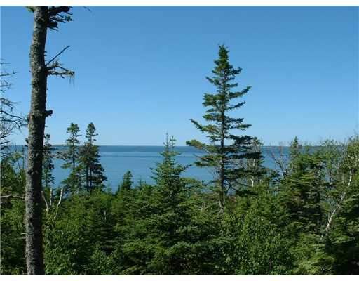 Lot 4 South Ocean Road Machiasport, ME 04655 - Photo 11 of 14 Other.