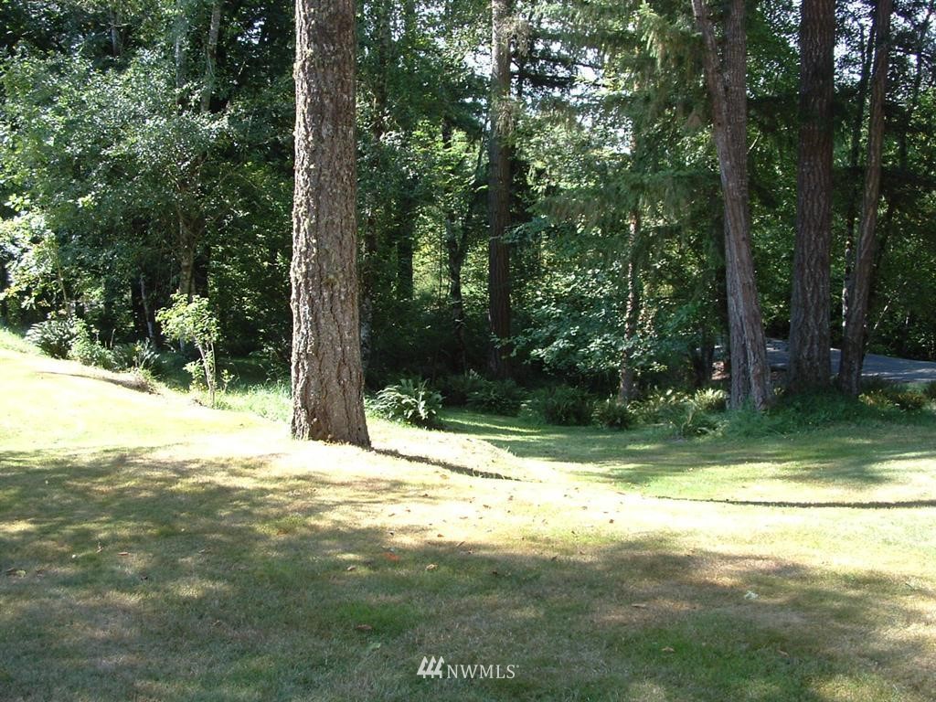 385 A Schmit Road Toledo, WA 98591 - Photo 13 of 13