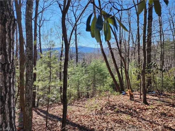 $45,000 | 0 Mountain Vista Drive, McGrady, NC 28649