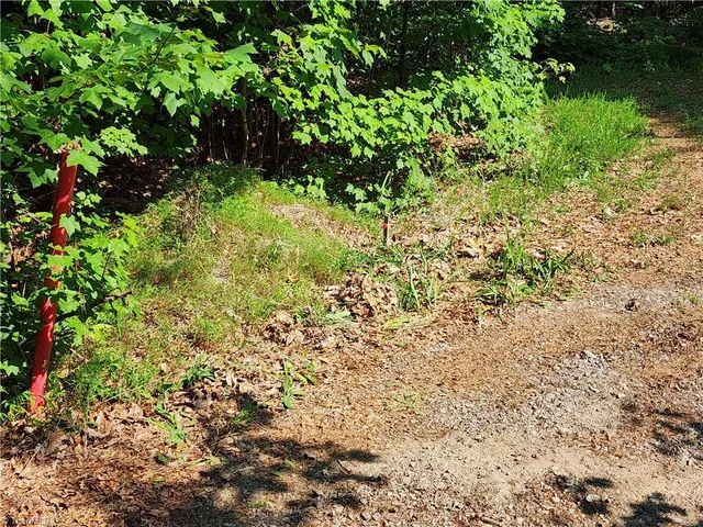 $54,900 | 0 Mountain Vista Drive, McGrady, NC 28649