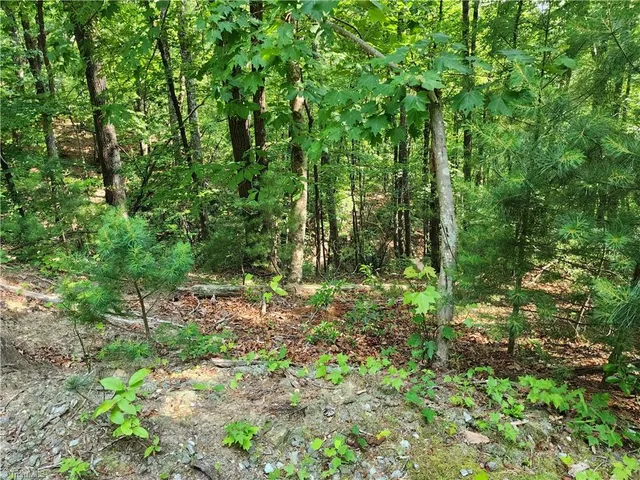 $54,900 | 0 Mountain Vista Drive, McGrady, NC 28649