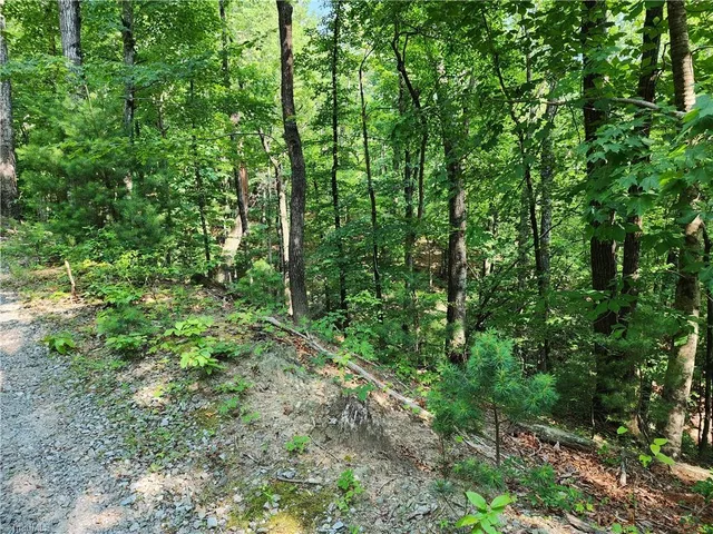 $54,900 | 0 Mountain Vista Drive, McGrady, NC 28649