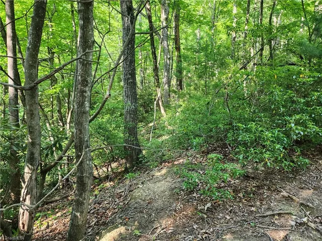 $54,900 | 0 Mountain Vista Drive, McGrady, NC 28649